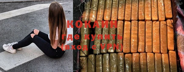 прущие крисы Няндома
