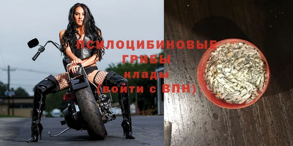 прущие крисы Няндома