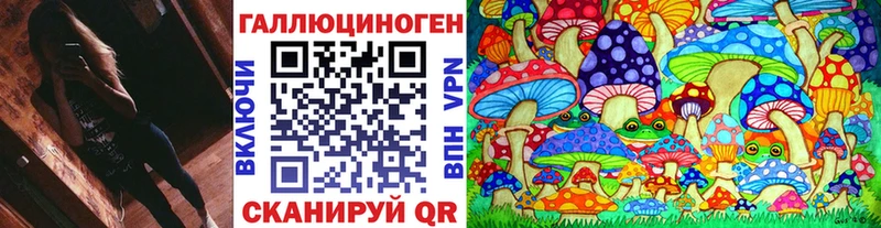 Купить где Углич Галлюциногенные грибы GOLDEN TEACHER